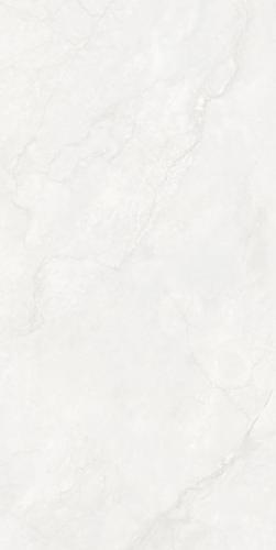 B-J12013