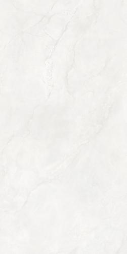 B-J12013