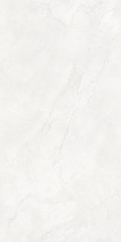 B-J12013