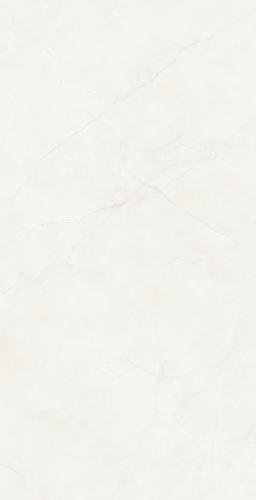 62CB-PFJ8903-鱼肚灰