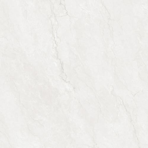 80CB-PFJ8906