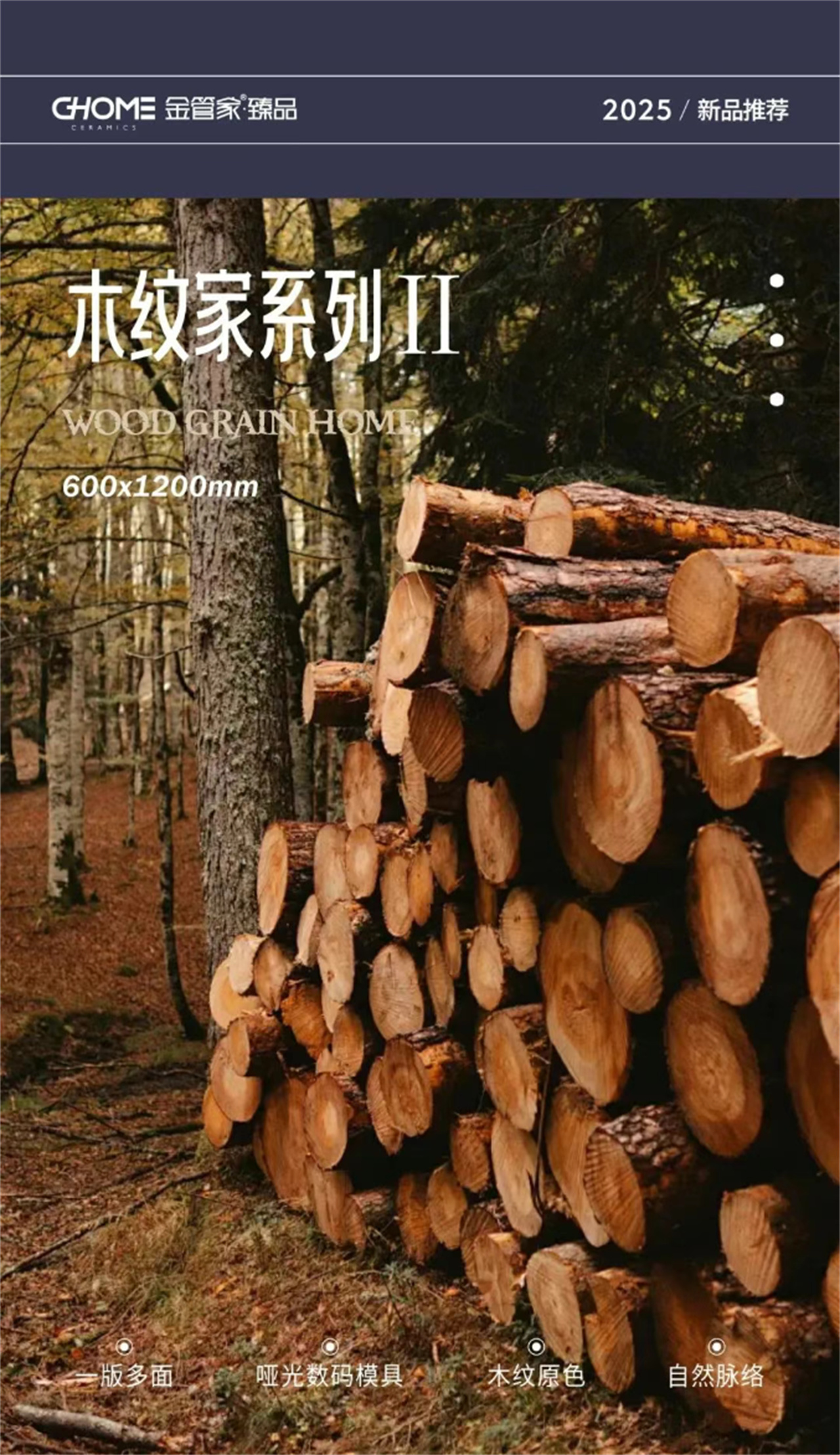6bd2e787ea331057c0e9c9c46828c27.jpg